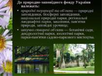 До природно-заповідного фонду України належать: природні території та об'єкти...