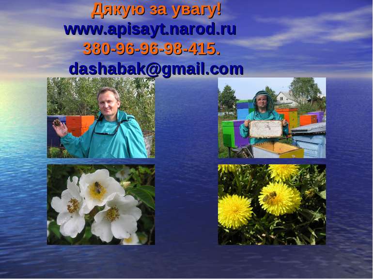 Дякую за увагу! www.apisayt.narod.ru 380-96-96-98-415. dashabak@gmail.com