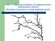 Рис. 1. Мапа досліджень іхтіофауни річок Рівненської області (Колами позначен...