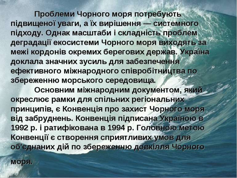 Проблеми Чорного моря потребують підвищеної уваги, а їх вирішення — системног...