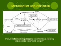 Метаболізм ксенобіотиків Роль метаболічних перетворень ксенобіотика в розвитк...