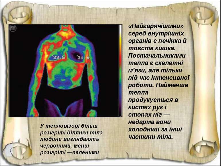 «Найгарячішими» серед внутрішніх органів є печінка й товста кишка. Постачальн...