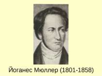 Йоганес Мюллер (1801-1858)