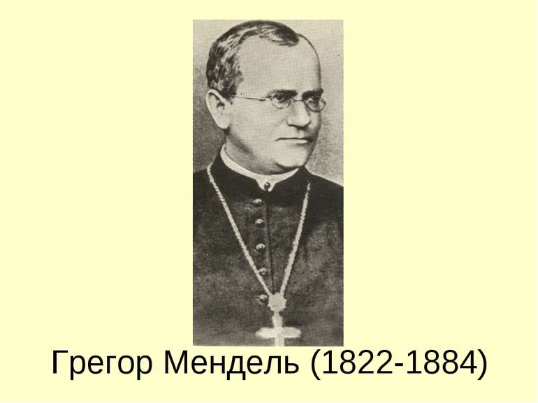 Грегор Мендель (1822-1884)