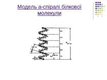 Модель а-спіралі білкової молекули