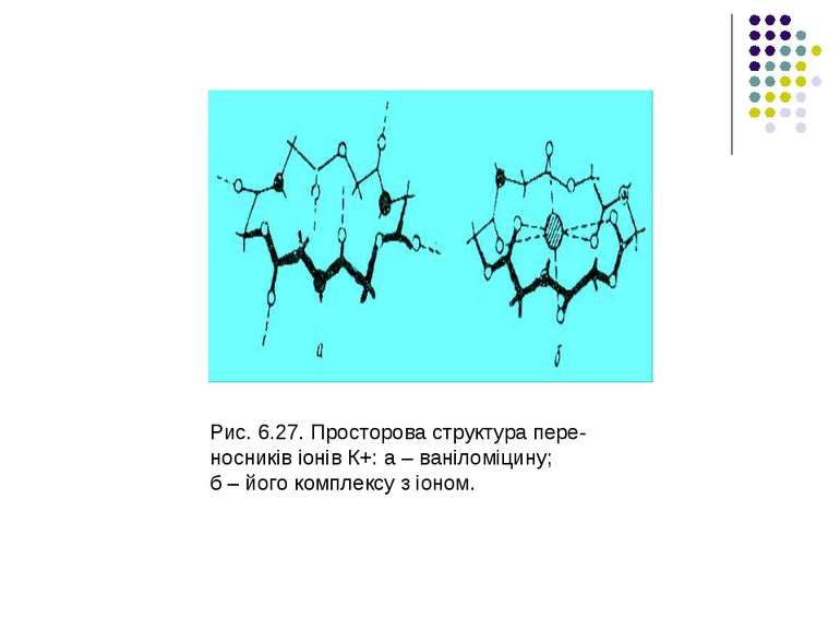 Рис. 6.27. Просторова структура пере- носників іонів К+: а – ваніломіцину; б ...