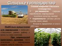 Сільське господарство Основні напрямки сільського господарства: рослинництво ...