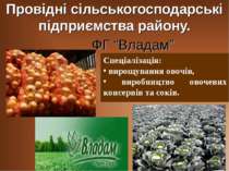 Спеціалізація: вирощування овочів, виробництво овочевих консервів та соків. П...