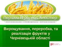 Вирощування, переробка, та реалізація фруктів у Чернівецькій області