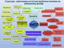 Структура– орієнтована на поточні проблеми основана на унікальному досвіді УНТП