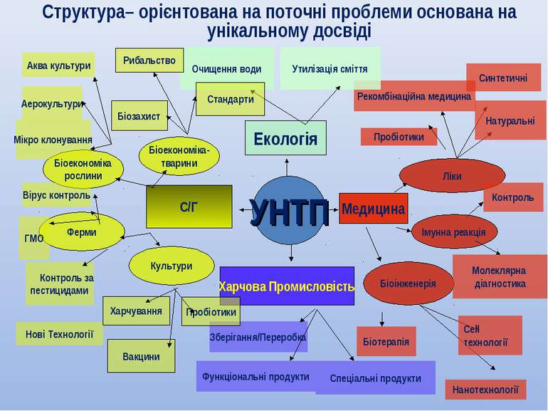 Структура– орієнтована на поточні проблеми основана на унікальному досвіді УНТП