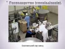 Баштанський сир завод