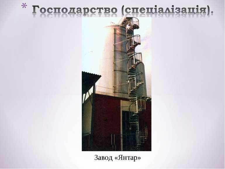 Завод «Янтар»