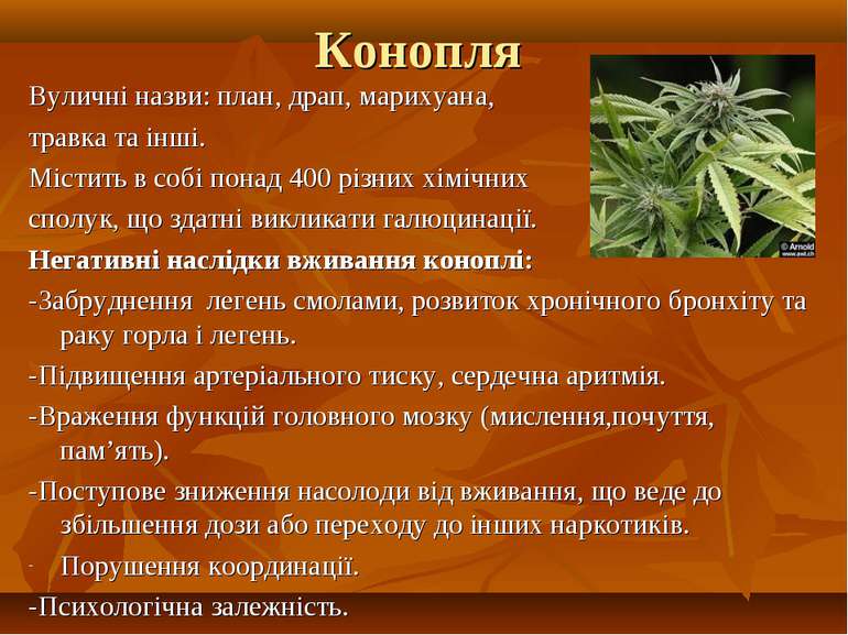 Конопля Вуличні назви: план, драп, марихуана, травка та інші. Містить в собі ...