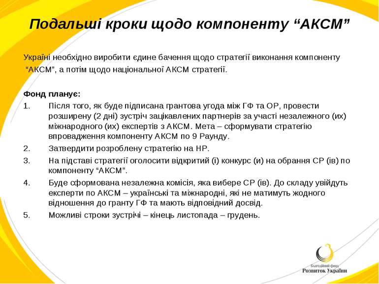 Подальші кроки щодо компоненту “АКСМ” Україні необхідно виробити єдине баченн...