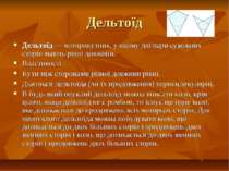 Дельтоїд Дельтоїд — чотирикутник, у якому дві пари суміжних сторін мають рівн...