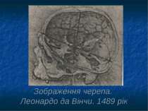 Зображення черепа. Леонардо да Вінчи. 1489 рік