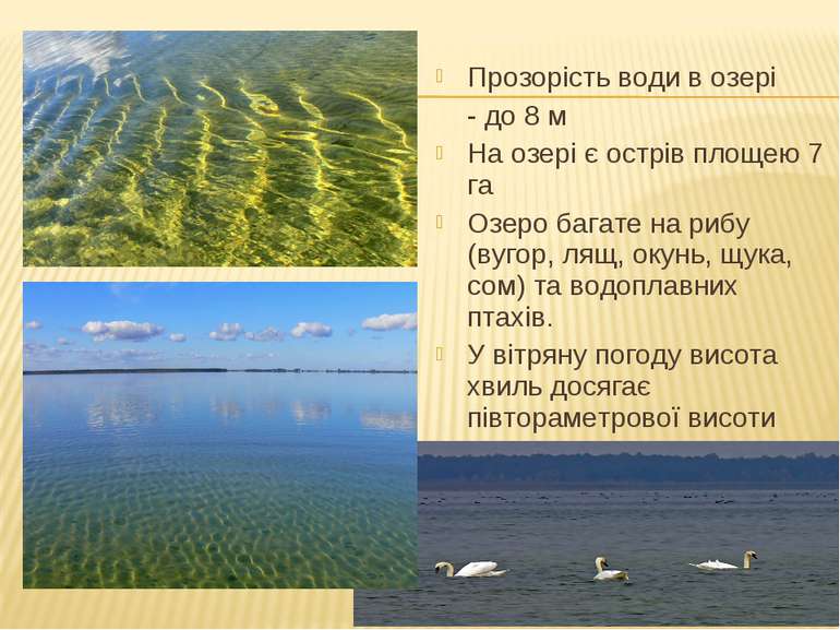 Прозорість води в озері - до 8 м На озері є острів площею 7 га Озеро багате н...