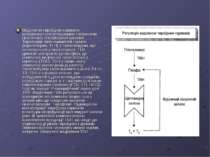 Виділення тироїдних гормонів контролюється пептидними гормонами гіпоталамо-гі...