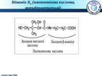 Вітамін В3 (пантотенова кислота, антидерматитний) Created by Sergiy STORM