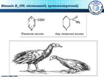 Вітамін В5 (РР, нікотинамід, протипелагричний) Created by Sergiy STORM