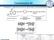 Вітамін В10 (фолієва кислота, фоліацин, антианемічний) Фолієва недостатність ...