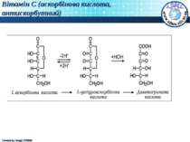Вітамін С (аскорбінова кислота, антискорбутний) Created by Sergiy STORM