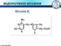 ВОДОРОЗЧИННІ ВІТАМІНИ Вітамін Bt Created by Sergiy STORM