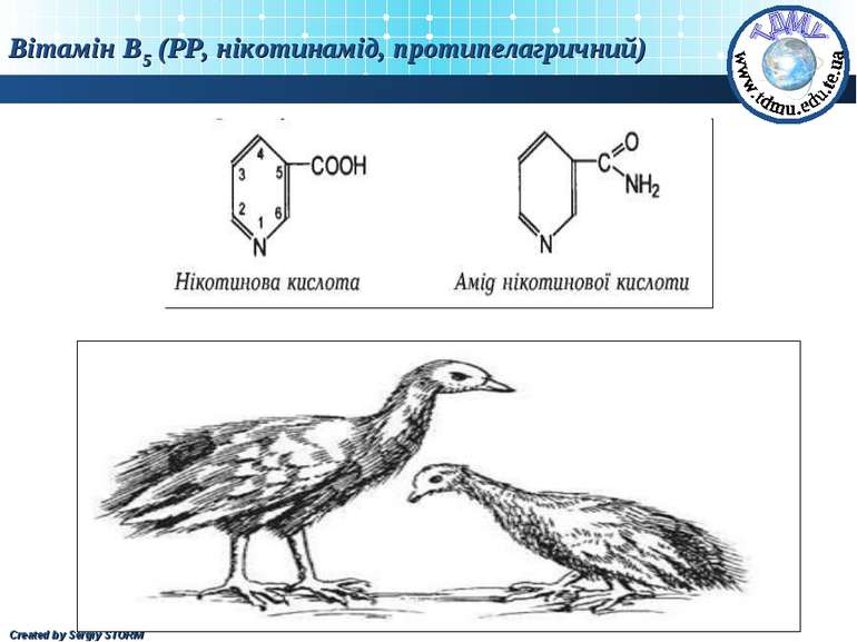 Вітамін В5 (РР, нікотинамід, протипелагричний) Created by Sergiy STORM