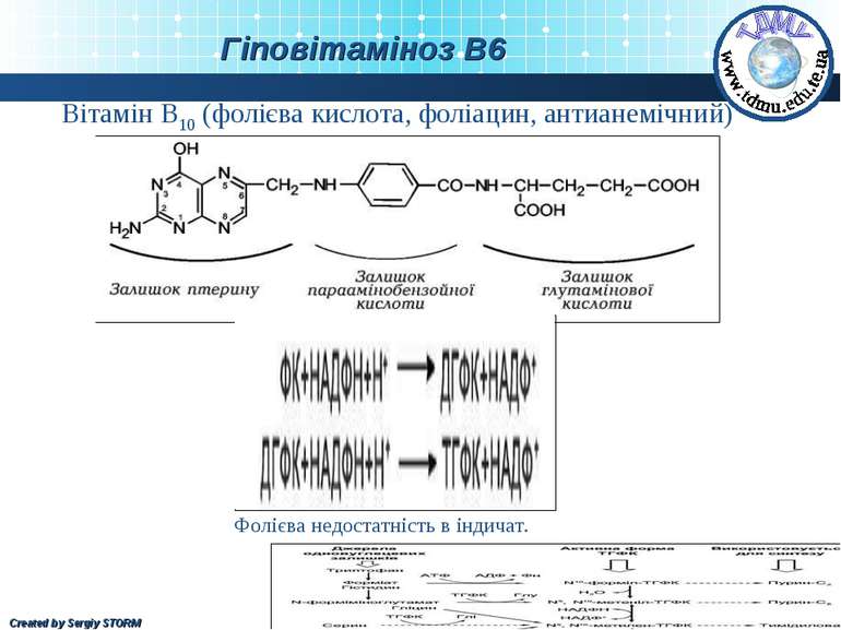 Вітамін В10 (фолієва кислота, фоліацин, антианемічний) Фолієва недостатність ...