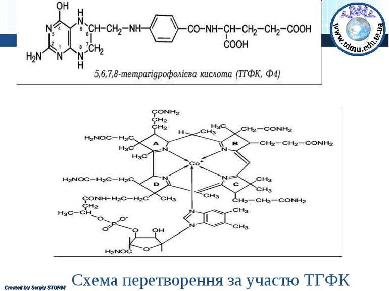 Схема перетворення за участю ТГФК Created by Sergiy STORM