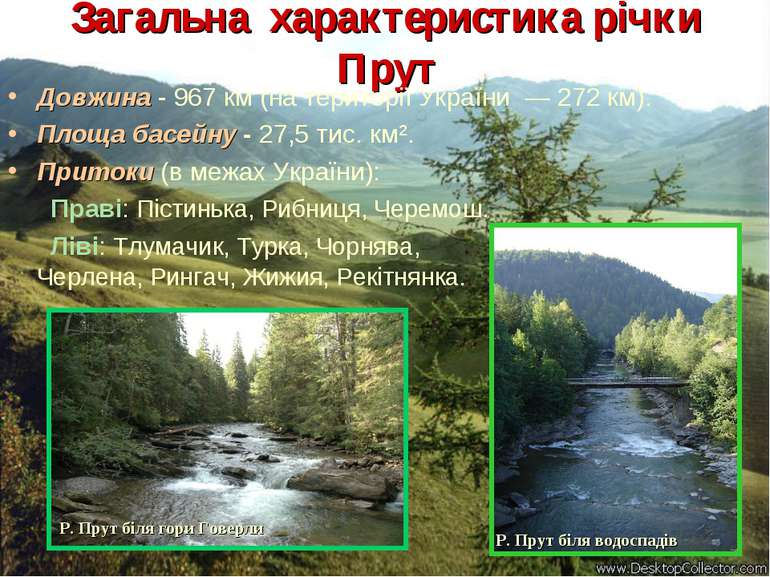 Загальна характеристика річки Прут Довжина - 967 км (на території України  — ...