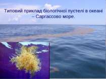 Типовий приклад біологічної пустелі в океані – Саргассово море.