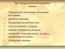 Тип Членистоногі (Arthropoda) ознаки: Тришаровість (ектодерма, мезодерма, ент...