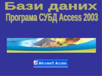 Програма СУБД Access 2003