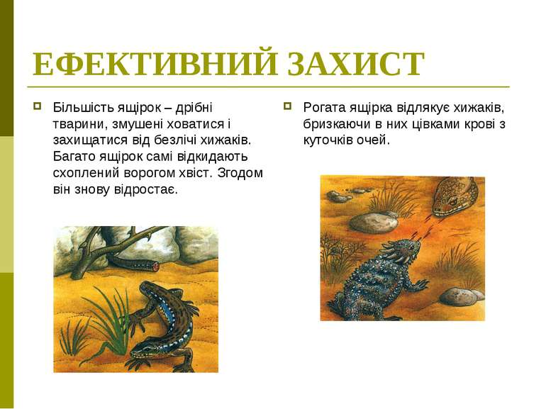 Деякі цікаві факти про тварин - презентація з я і Україна