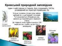 Кримський природний заповідник один з найстарших в Україні, був створений у 1...