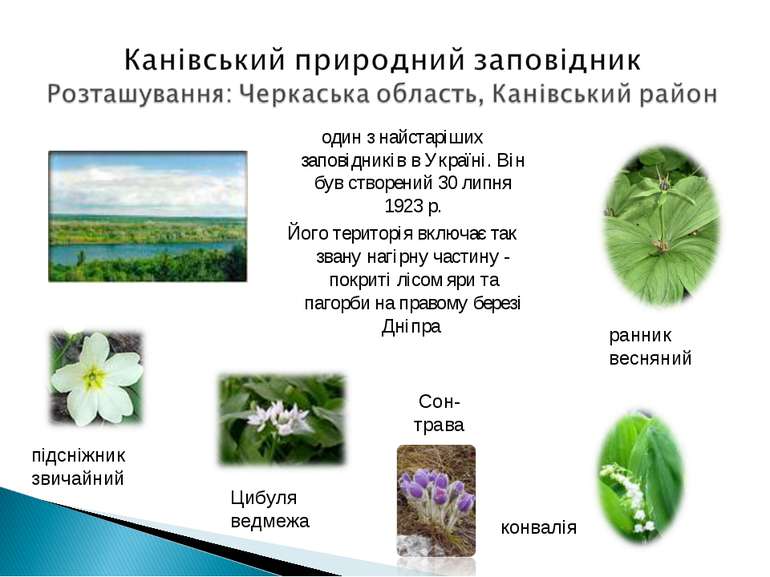 один з найстаріших заповідників в Україні. Він був створений 30 липня 1923 р....