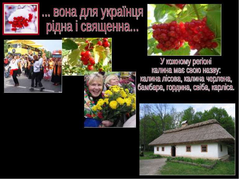 Емігранти-українці, відвідуючи як туристи рідні краї, як найдорожчу реліквію ...