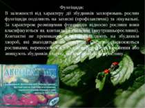 Фунгіциди: В залежності від характеру дії збудників захворювань рослин фунгіц...