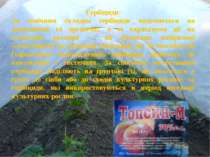Гербіциди: За хімічним складом гербіциди поділяються на неорганічні та органі...