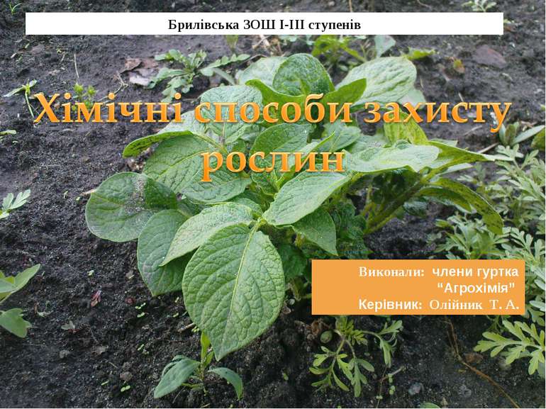 Виконали: члени гуртка “Агрохімія” Керівник: Олійник Т. А. Брилівська ЗОШ І-І...