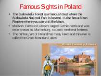 Famous Sights in Poland The Białowieża Forest is a famous forest where the Bi...