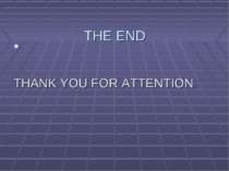 THE END THANK YOU FOR ATTENTION