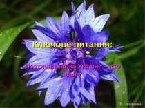 Ключове питання: Поетична квітка України – хто вона? В. Лапуренко