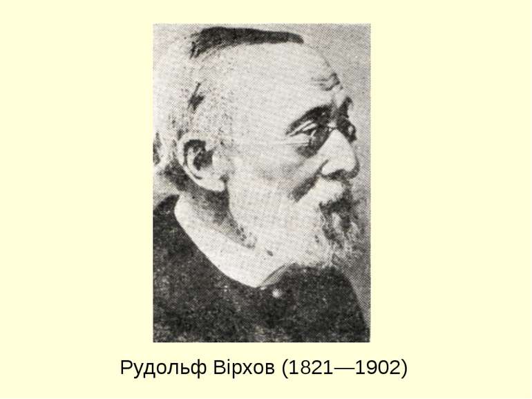 Рудольф Вірхов (1821—1902)