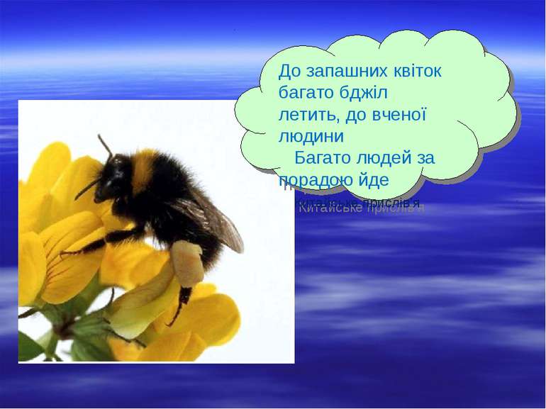До запашних квіток багато бджіл летить, до вченої людини Багато людей за пора...