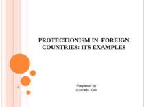 PROTECTIONISM IN FOREIGN COUNTRIES: ITS EXAMPLES Prepared by Lizanets Kirill