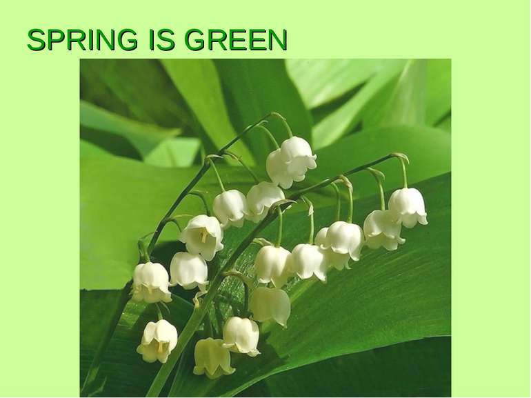 SPRING IS GREEN