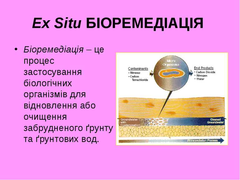 Ex Situ БІОРЕМЕДІАЦІЯ Біоремедіація – це процес застосування біологічних орга...